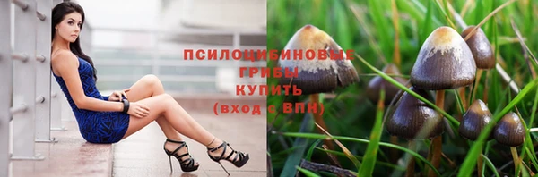 mix Арсеньев