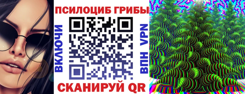 купить наркотик  MEGA как войти  Псилоцибиновые грибы Psilocybine cubensis  Соль-Илецк 